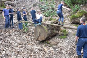 Entraînement Naturel Randscouts & Randguides à Buc (Yvelines)